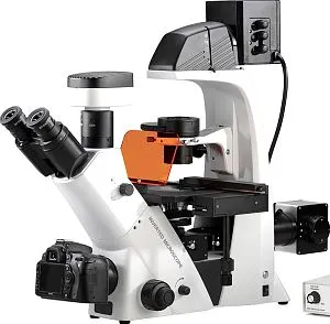 Микроскоп флуоресцентный инвертированный Opto-Edu A16.2615-L-4, изображение 1