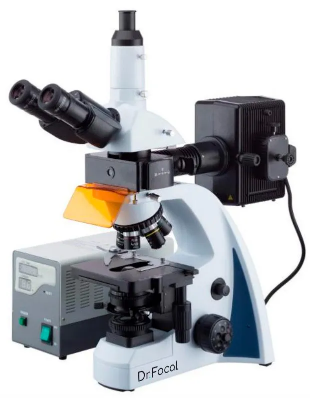 Микроскоп люминесцентный Dr.Focal SBM-1T FL, изображение 1