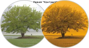 Бинокль Yukon Expert VM 8x40 (Pulsar), изображение 3