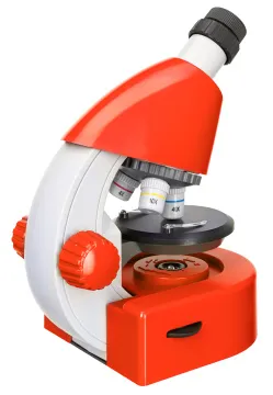 Микроскоп Levenhuk Discovery Micro с книгой, изображение 9