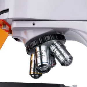 Микроскоп люминесцентный цифровой MAGUS Lum D400, изображение 13