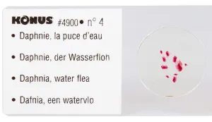 Набор микропрепаратов Konus 10: «Потрясающий мир в капле воды», изображение 3