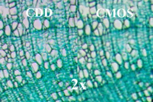 Видеоокуляр ToupCam 0,8 Мпикс (UHCCD00800KPA), изображение 7