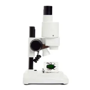 Микроскоп стереоскопический Celestron LABS S20, бинокулярный, изображение 2