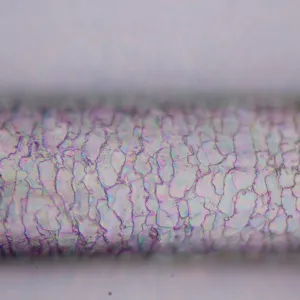 Микроскоп поляризационный цифровой MAGUS Pol D800, изображение 23