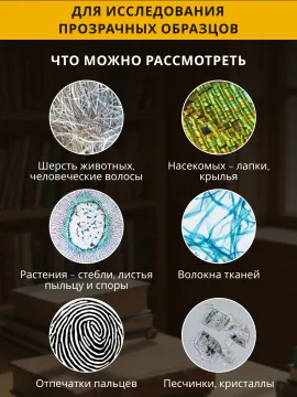 Микроскоп Levenhuk Discovery Centi 02 с книгой, изображение 17