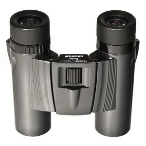 Бинокль Kenko Ultra View 10х25 DH, черный, изображение 2