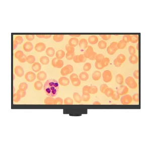 Камера цифровая MAGUS Vision 80 LCD, изображение 2